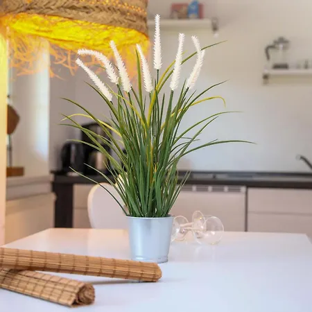 Apartament Am Gutspark Drankse Sonnengruss Dranske