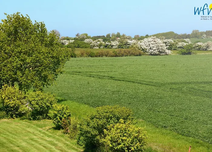 Am Gutspark Drankse Sonnengruss *